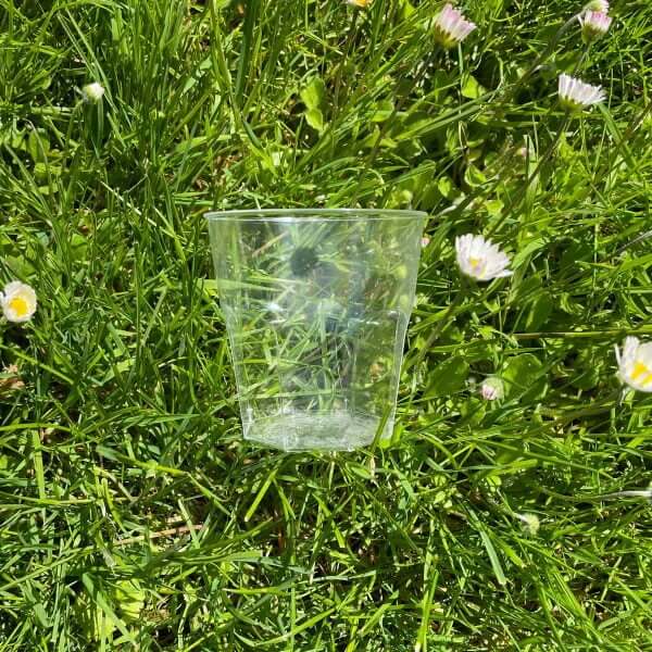 Brasserieglas voor picknickbox